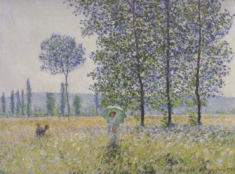 Claude Monet Fields in Spring china oil painting image